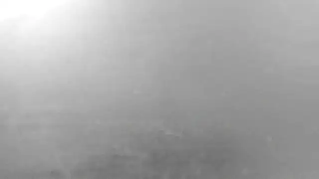 tyler_twink_boy live sex cam