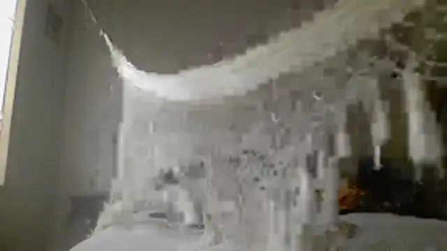 SexBabyrat's cam snapshot