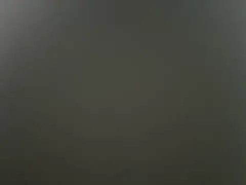 ALANNFERRER's cam snapshot