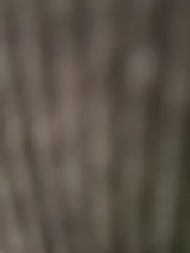 emma_tour live sex cam