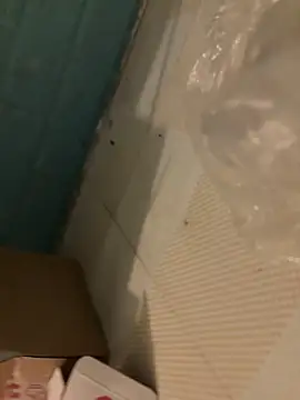 MEFUN-'s cam snapshot