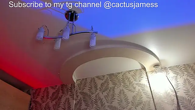 Cactus__James's web cam