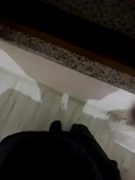 LAZ3R1's cam snapshot