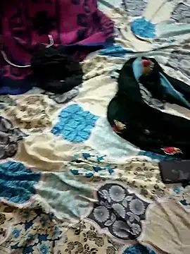 monarani5986 live sex cam