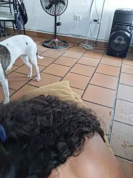 blerstefan1 live sex cam