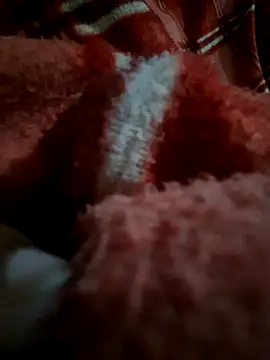 limtguys's cam snapshot