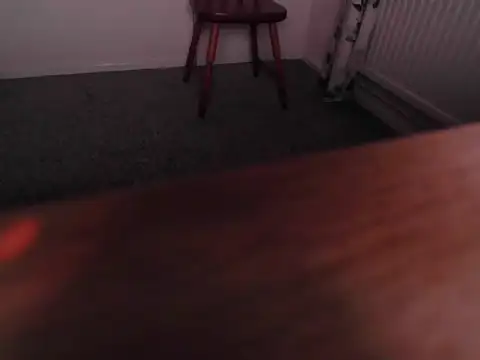 wankywanky's web cam