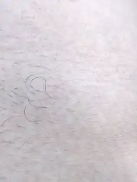 Bangladeshi_Big_male's cam snapshot