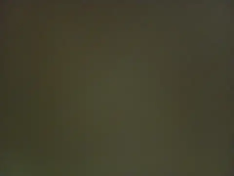 VivienAndClark live sex cam