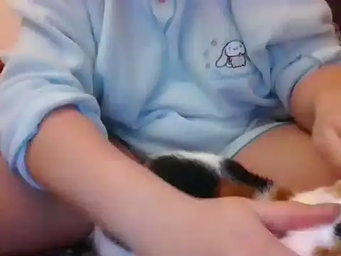 RealLittleRedRidingHood live sex cam