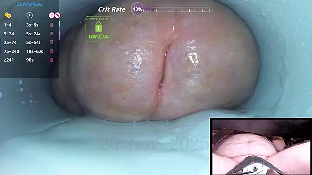 controlmytoys's cam snapshot