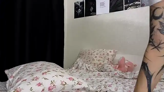 newproject_ live sex cam