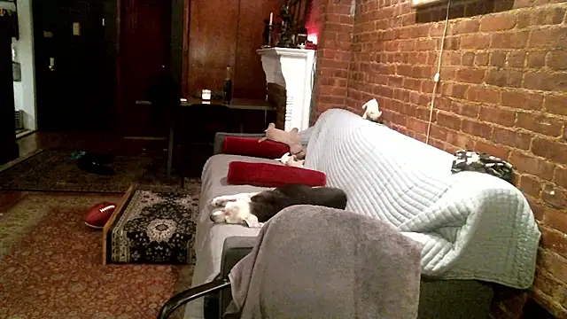 Johnny_Bottoms live sex cam