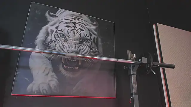 DimitriDeluxe's cam snapshot