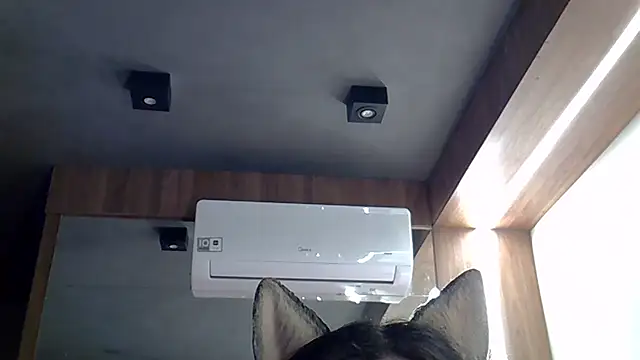 SkinnyKitten live sex cam