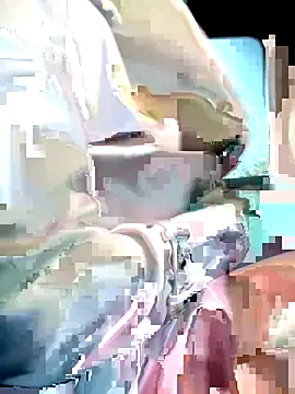 Kate-Paul live sex cam