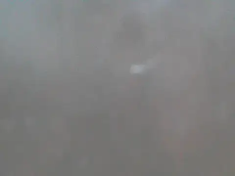 Naked_Man_ live sex cam