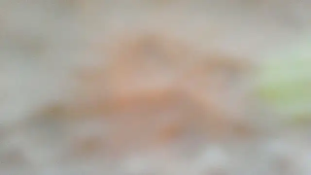 MolleDolle's cam snapshot