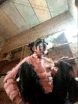 Jankisinghji live sex cam