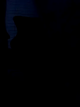 raredick's cam snapshot