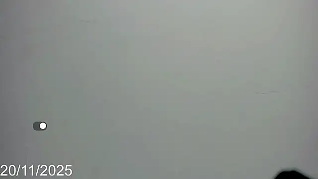 dahian_fox7 live sex cam