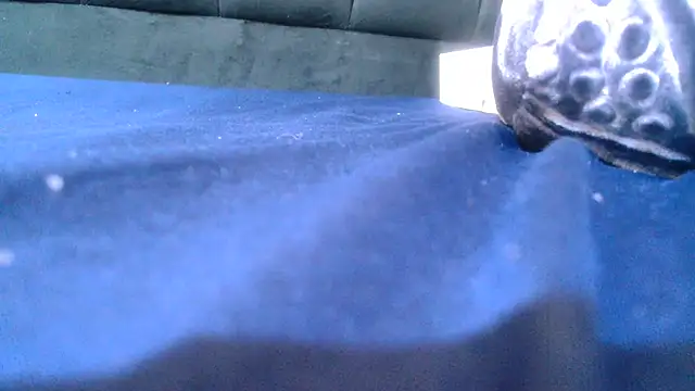 Sexy_PureFire live sex cam