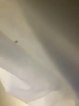 slimshadypt2 live sex cam