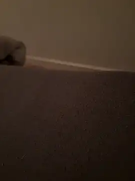 Crevette311's cam snapshot