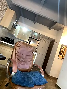 Dominiofit's cam snapshot