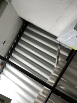 Salome_golvert live sex cam