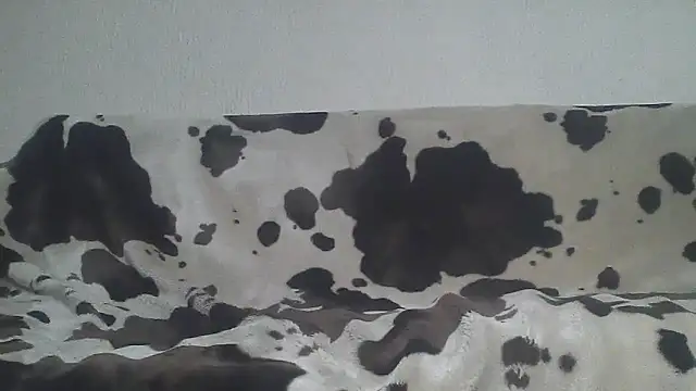 Zgodanilep's cam snapshot