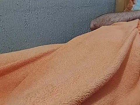 mfreitas005 live sex cam