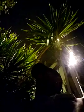 Angel23cm1 live sex cam