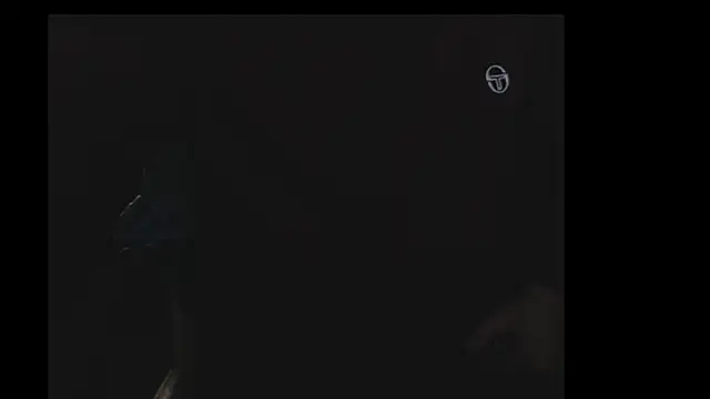 sexualtensionrelation live sex cam