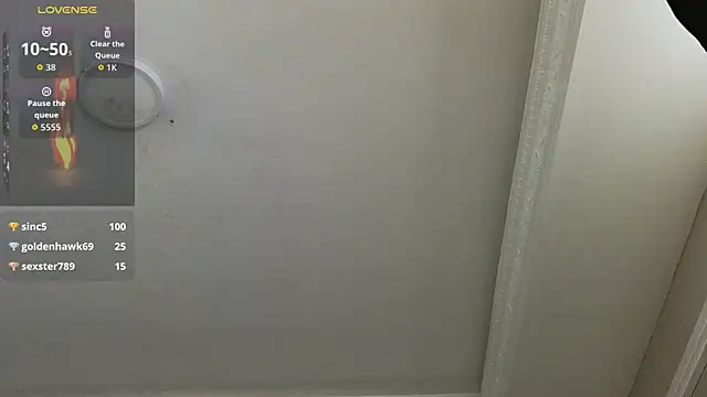 FreyrVik's cam snapshot