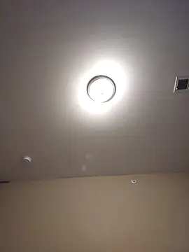 AmethystFoxx live sex cam