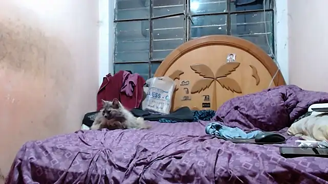 nakedlima's cam snapshot