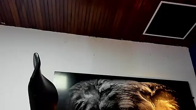 king_falconer's cam snapshot