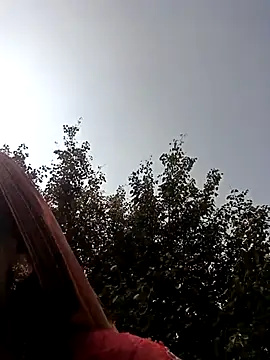 Pinky12A live sex cam