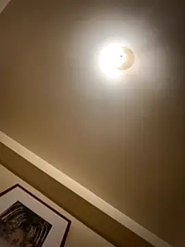 custardnmypie live sex cam