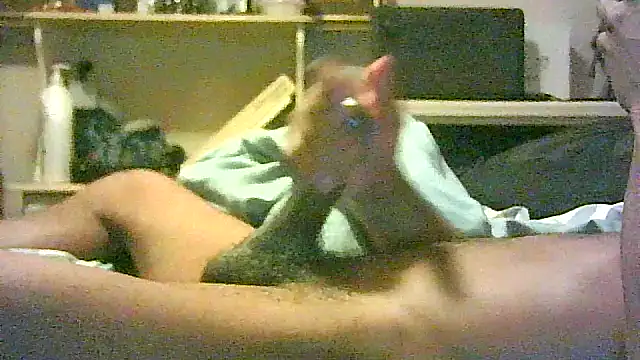 3ROTIC_3XOTiC_FIR3's cam snapshot