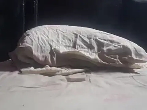 Doflamingo2003's cam snapshot