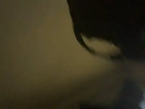 Shawtyblaque21 live sex cam