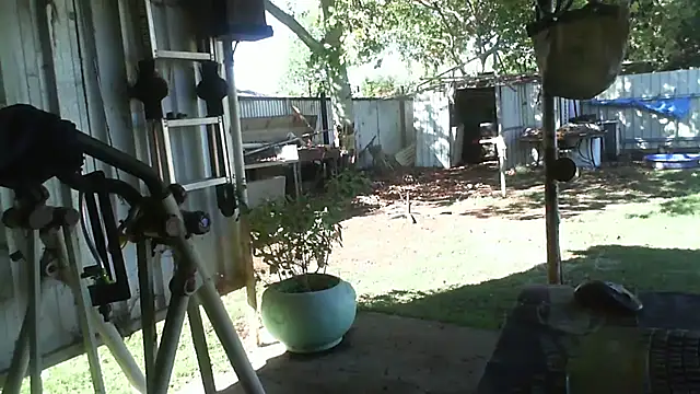 herbie010666 live sex cam