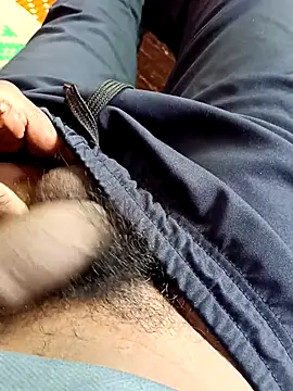 dolphiinn's cam snapshot