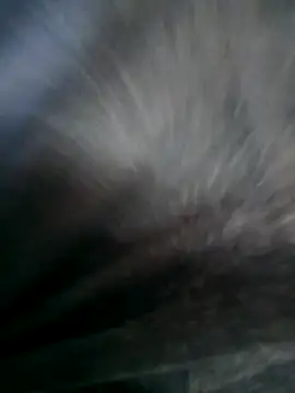 Guysonforyou's cam snapshot