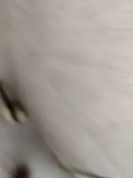 akshr1099's cam snapshot