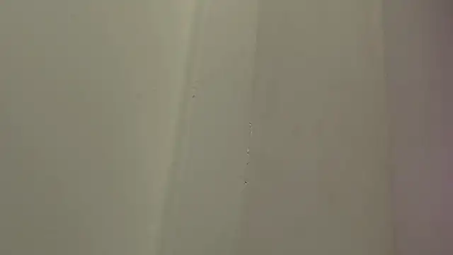 skinnybarbie022's cam snapshot