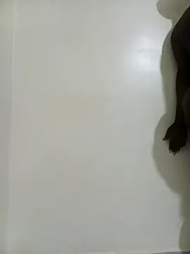 bigass256's cam snapshot