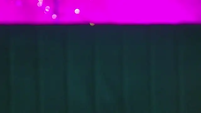 MiniKaramellaaa's web cam